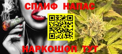 мет Камышлов